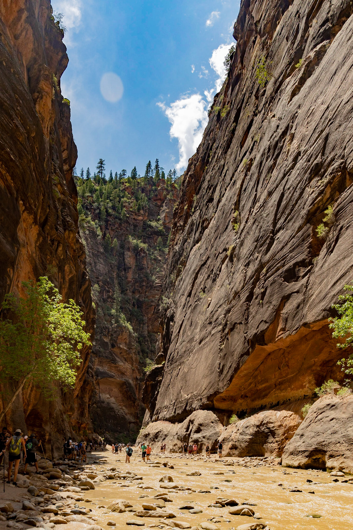 The Narrows at Zion National Park