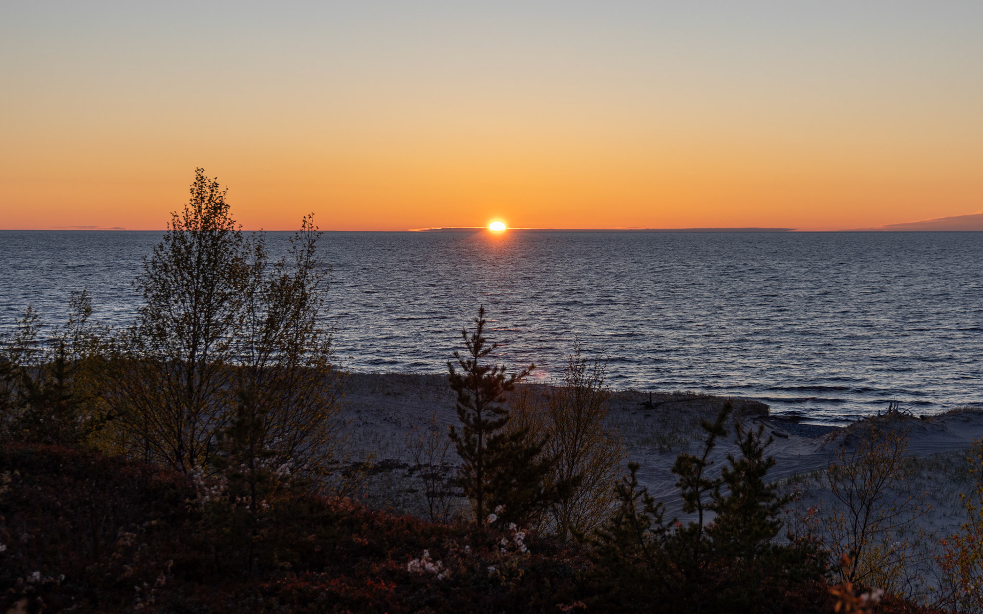 Up North