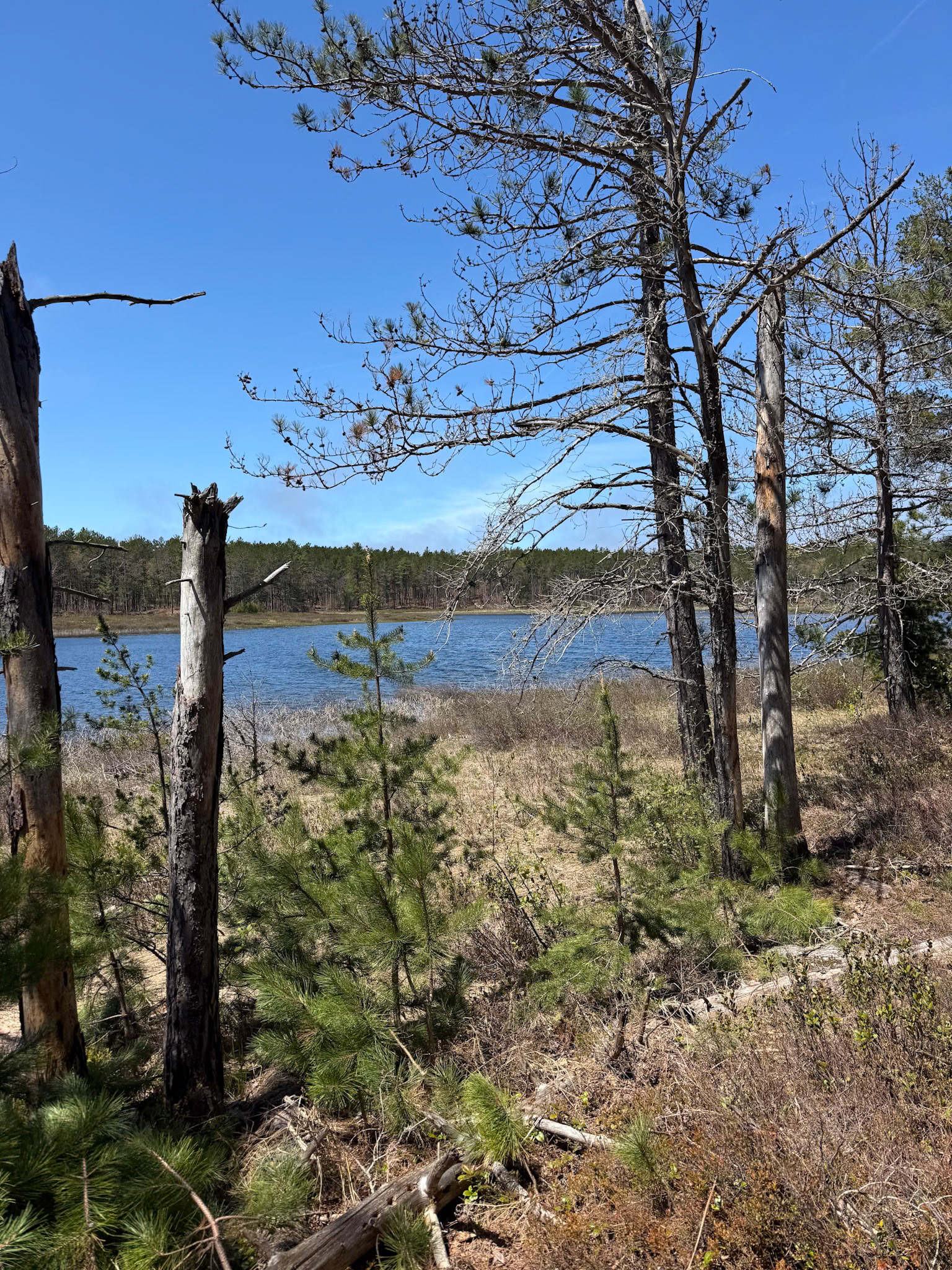 Up North