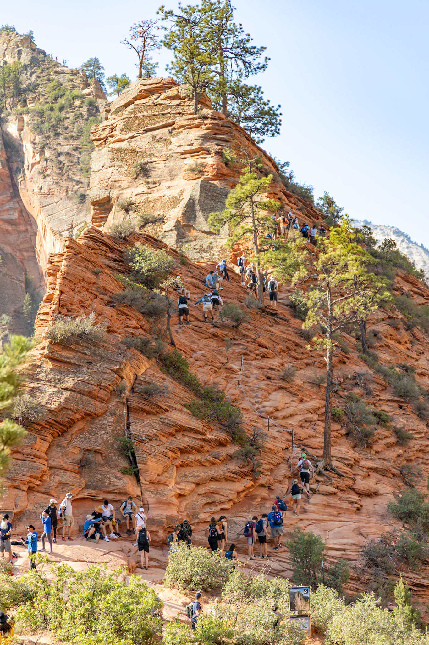 Angel's Landing at Zion