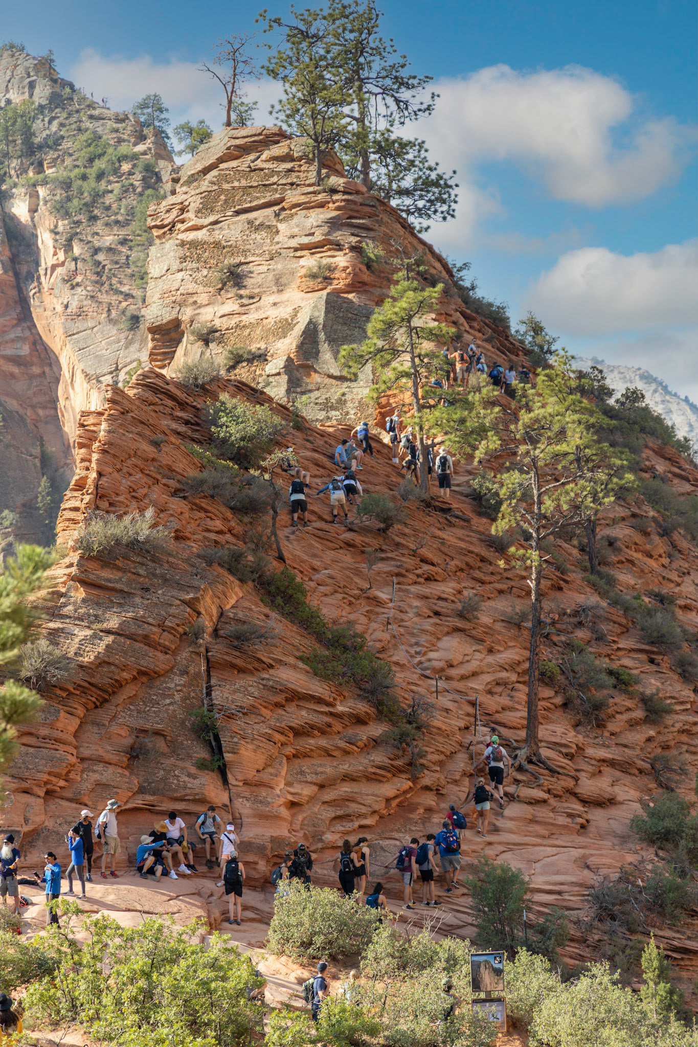 Angel's Landing at Zion