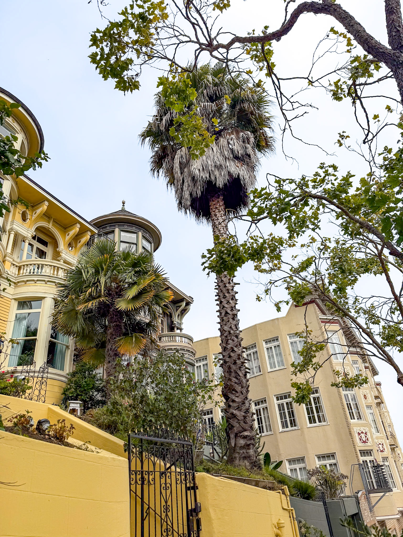 Haight Ashbury in San Francisco