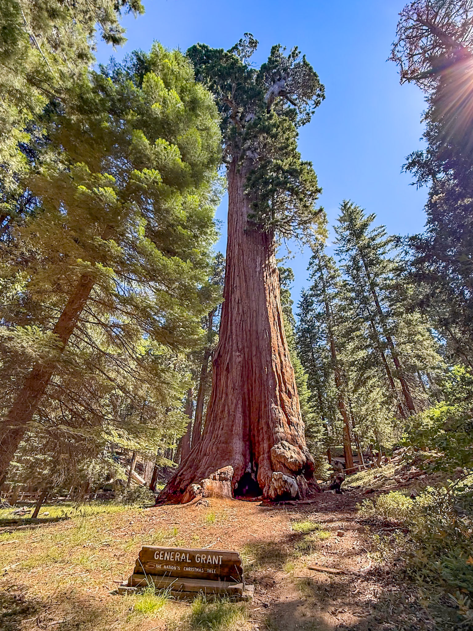 King's Canyon National Park