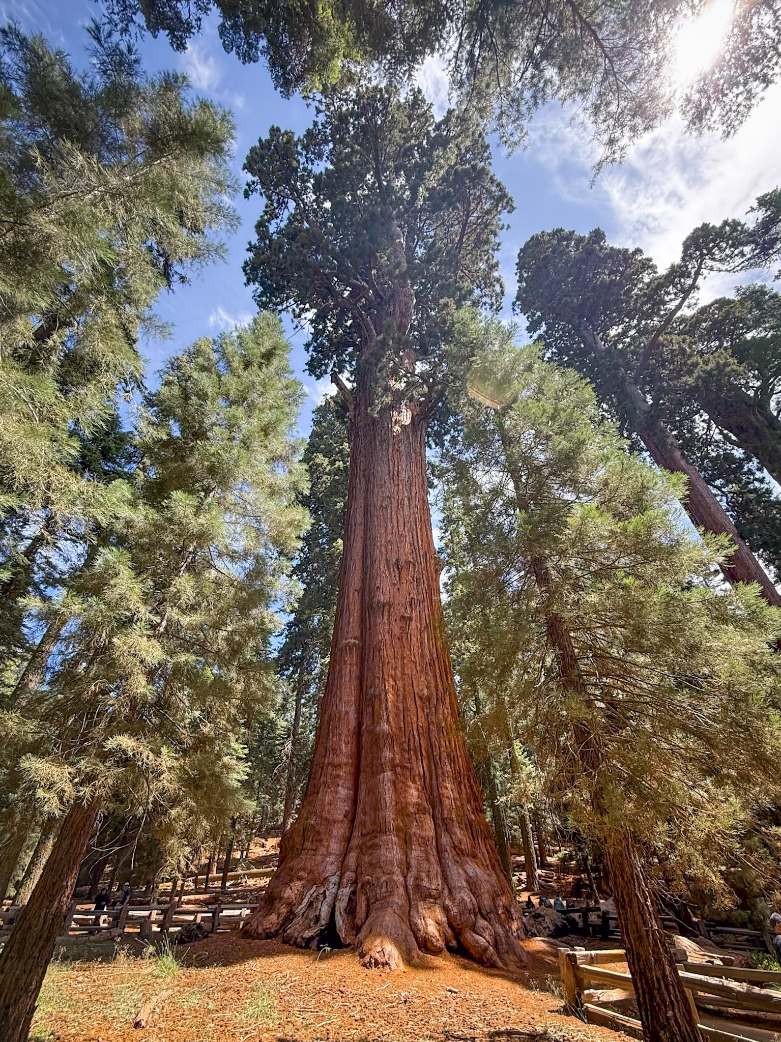 Sequoia National Park