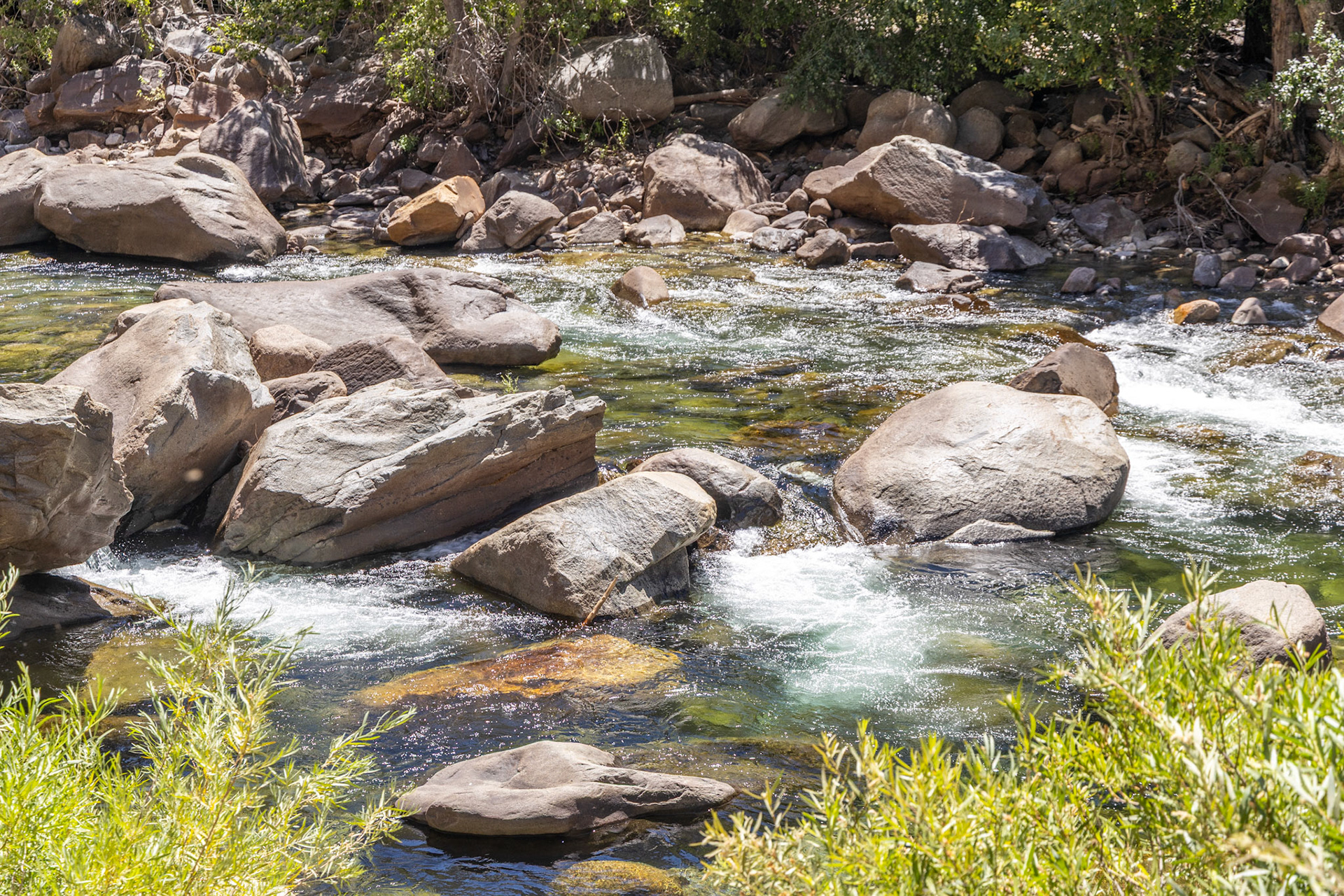 King's Canyon National Park