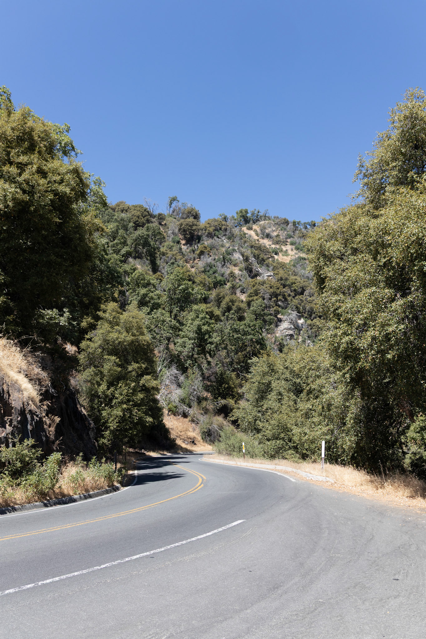 Sequoia National Park