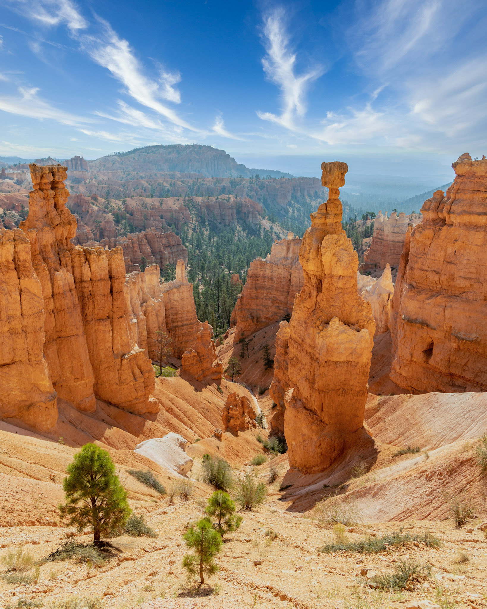 Navajo Loop Trail at Bryce Canyon National Park