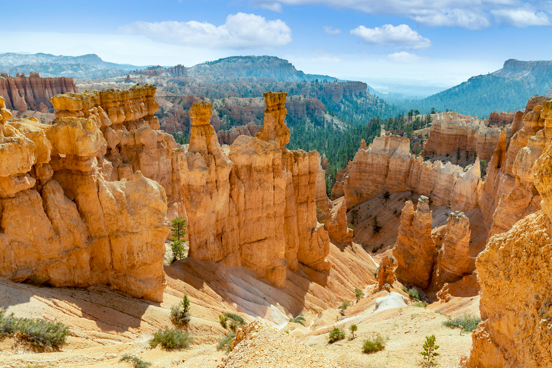 Navajo Loop Trail at Bryce Canyon National Park in Bryce, Utah