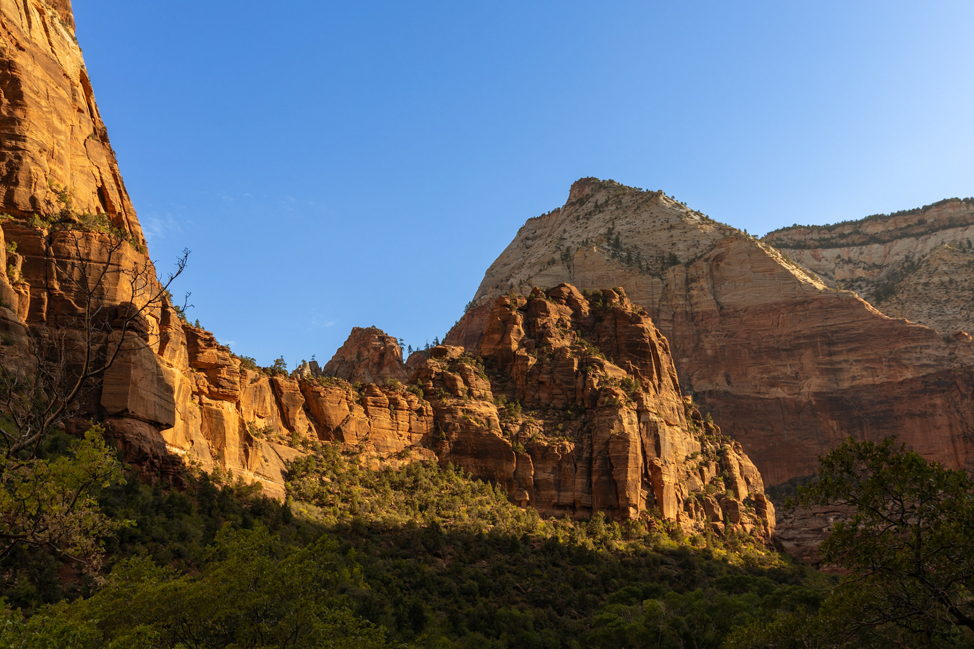 Zion National Park in Springdale, Utah
