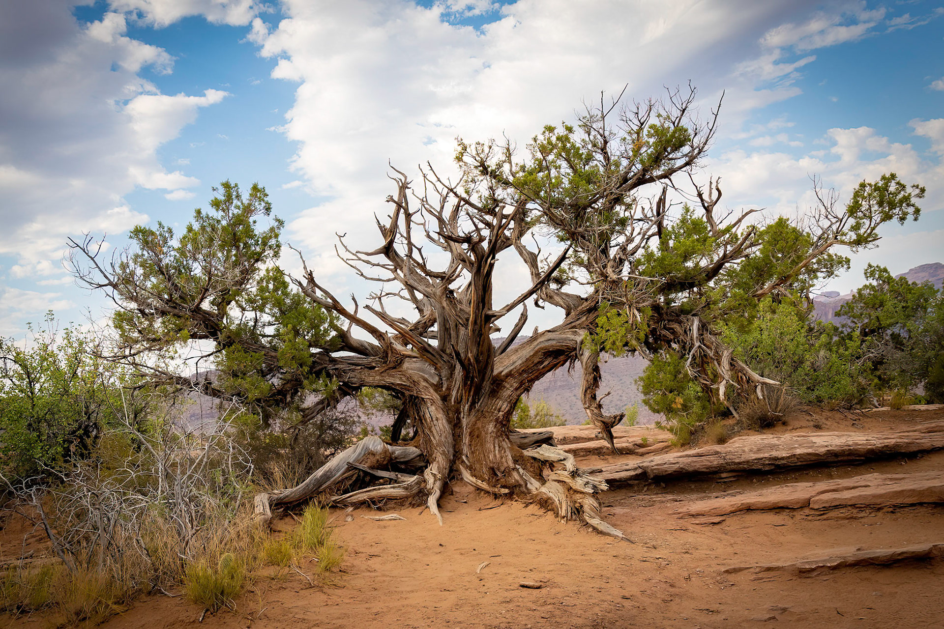 Delicate Arch Hike at Arches National Park