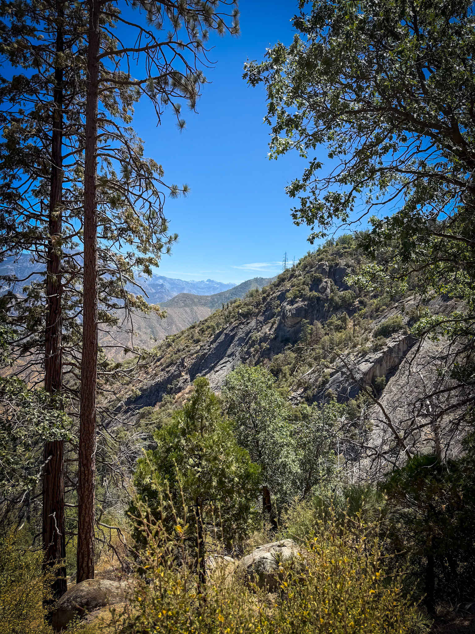 King's Canyon National Park