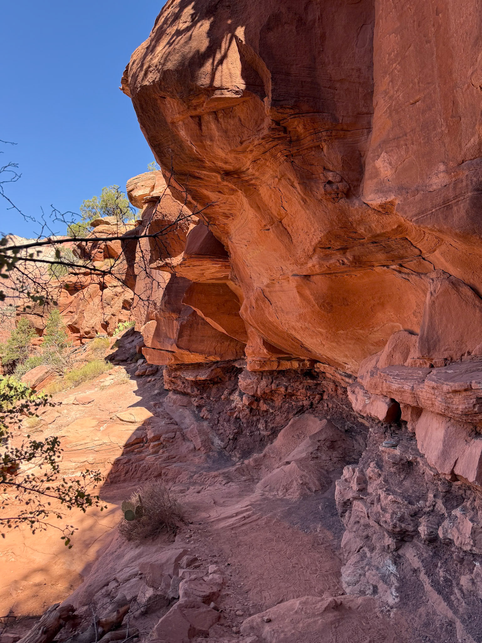 Zion National Park