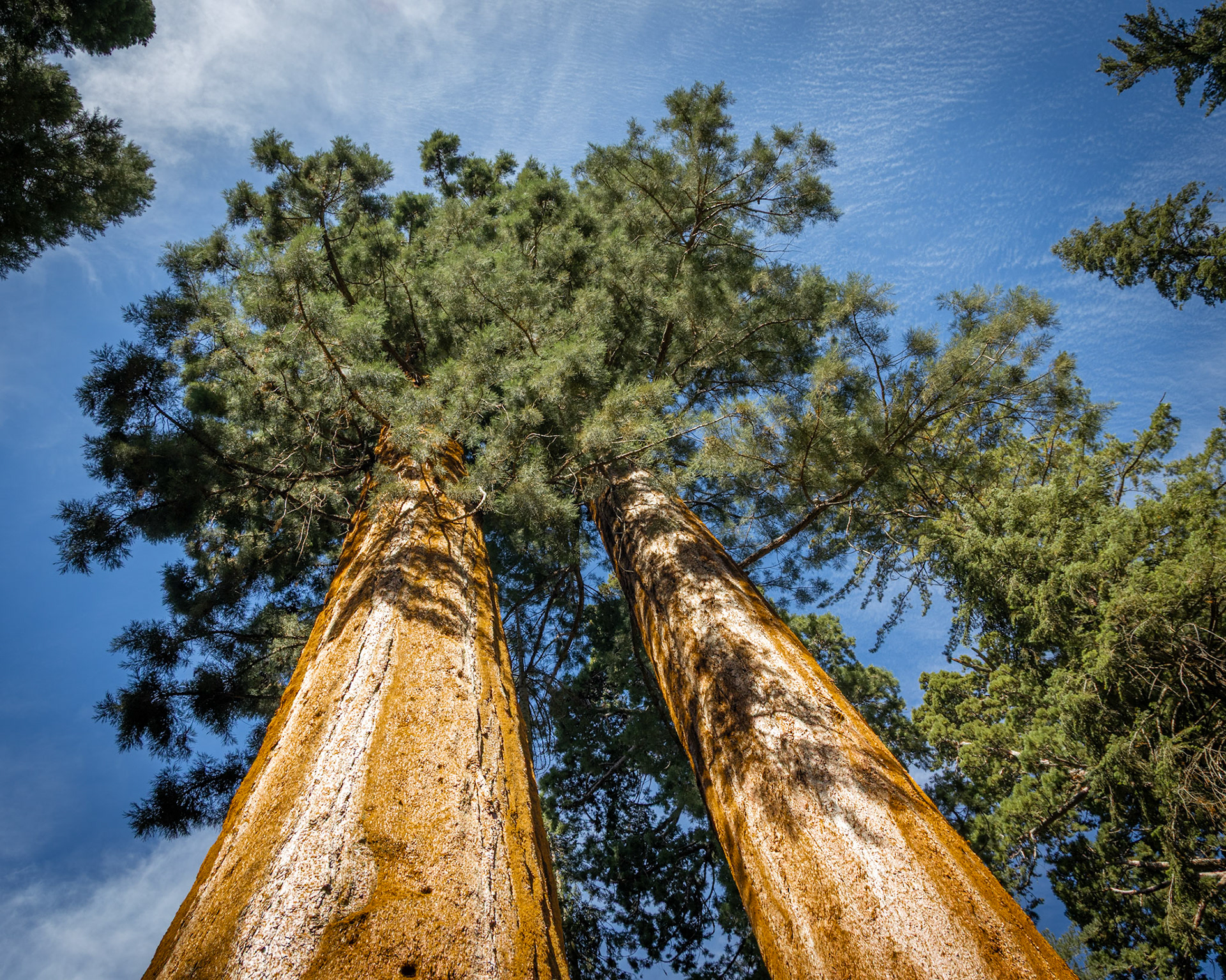 Sequoia National Park
