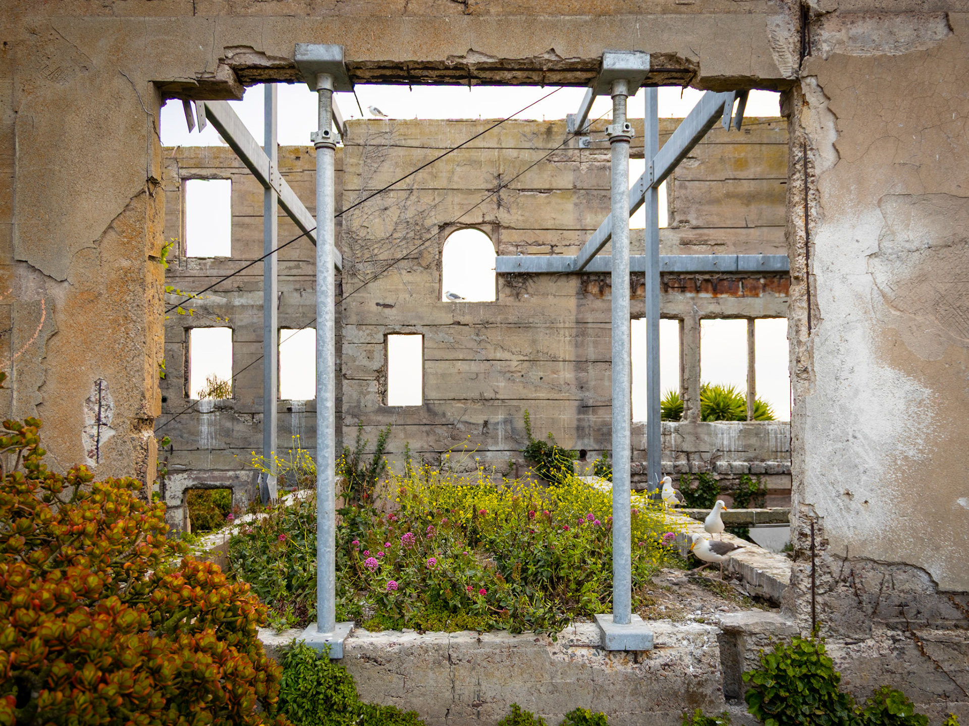 Alcatraz Island in San Francisco
