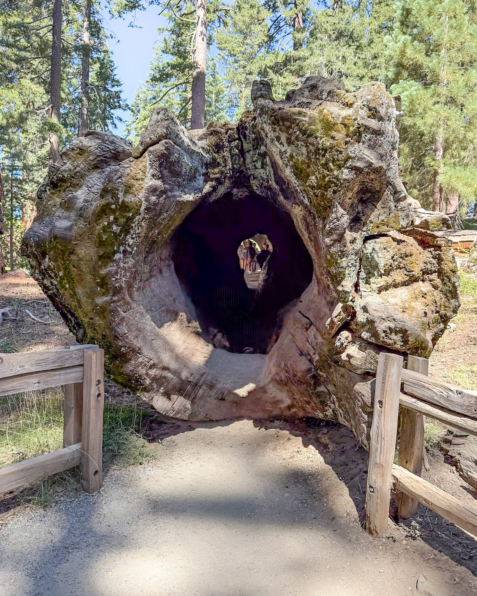 King's Canyon National Park