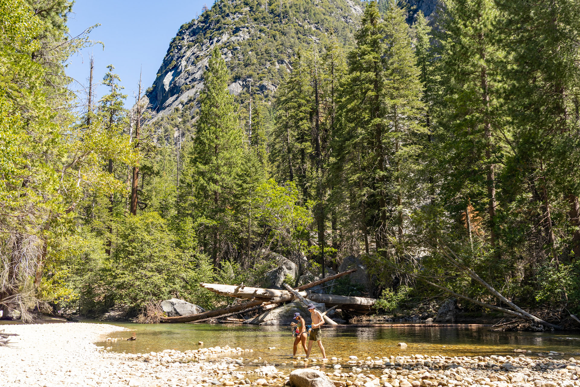 King's Canyon National Park