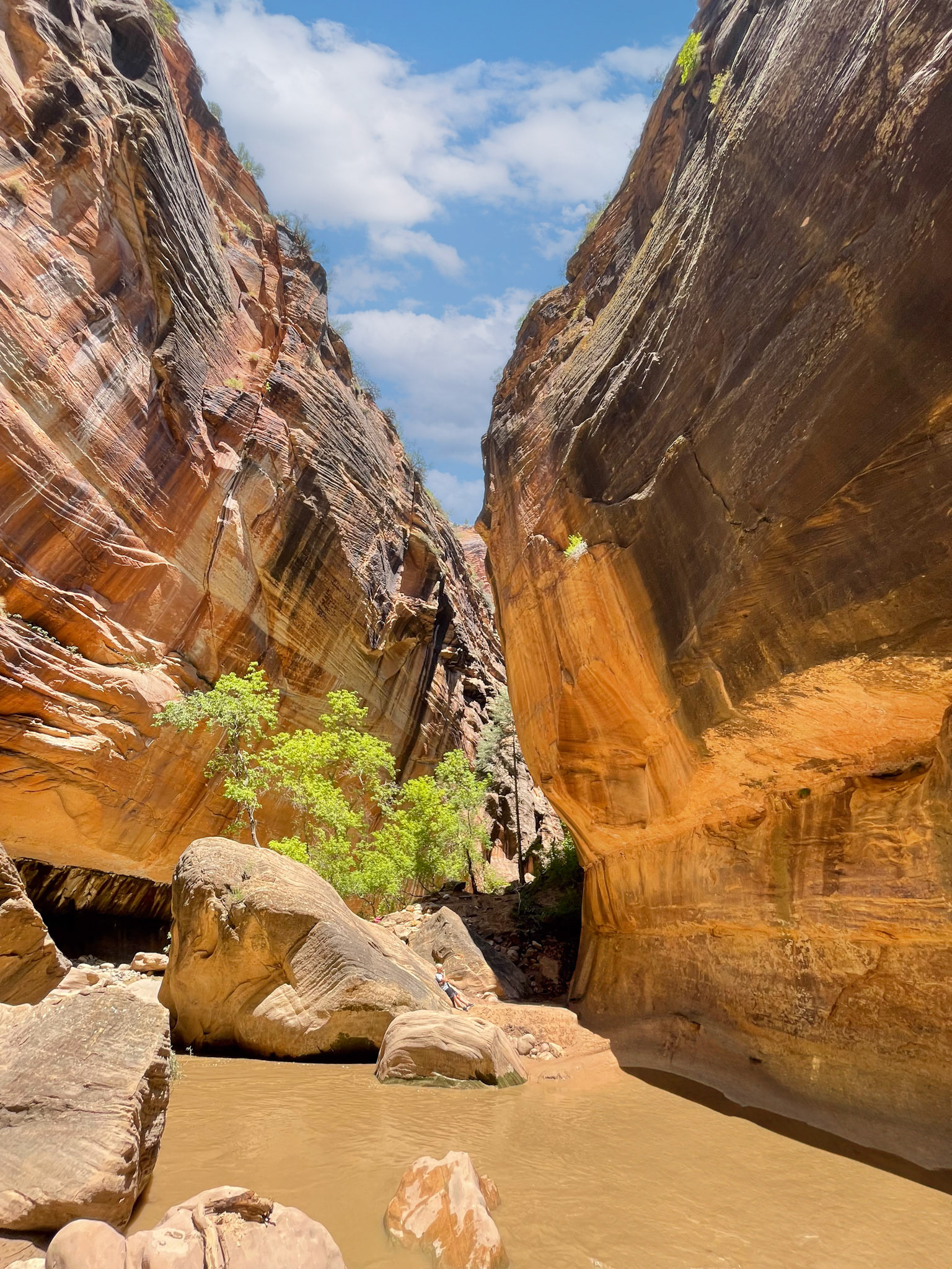 The Narrows at Zion National Park