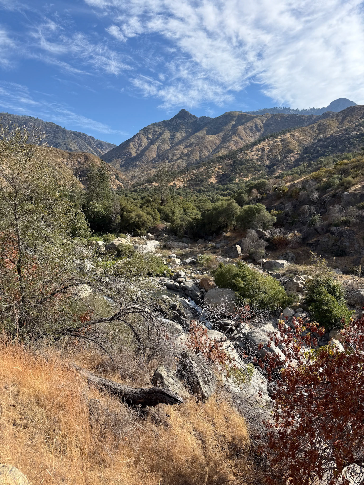 Sequoia National Park