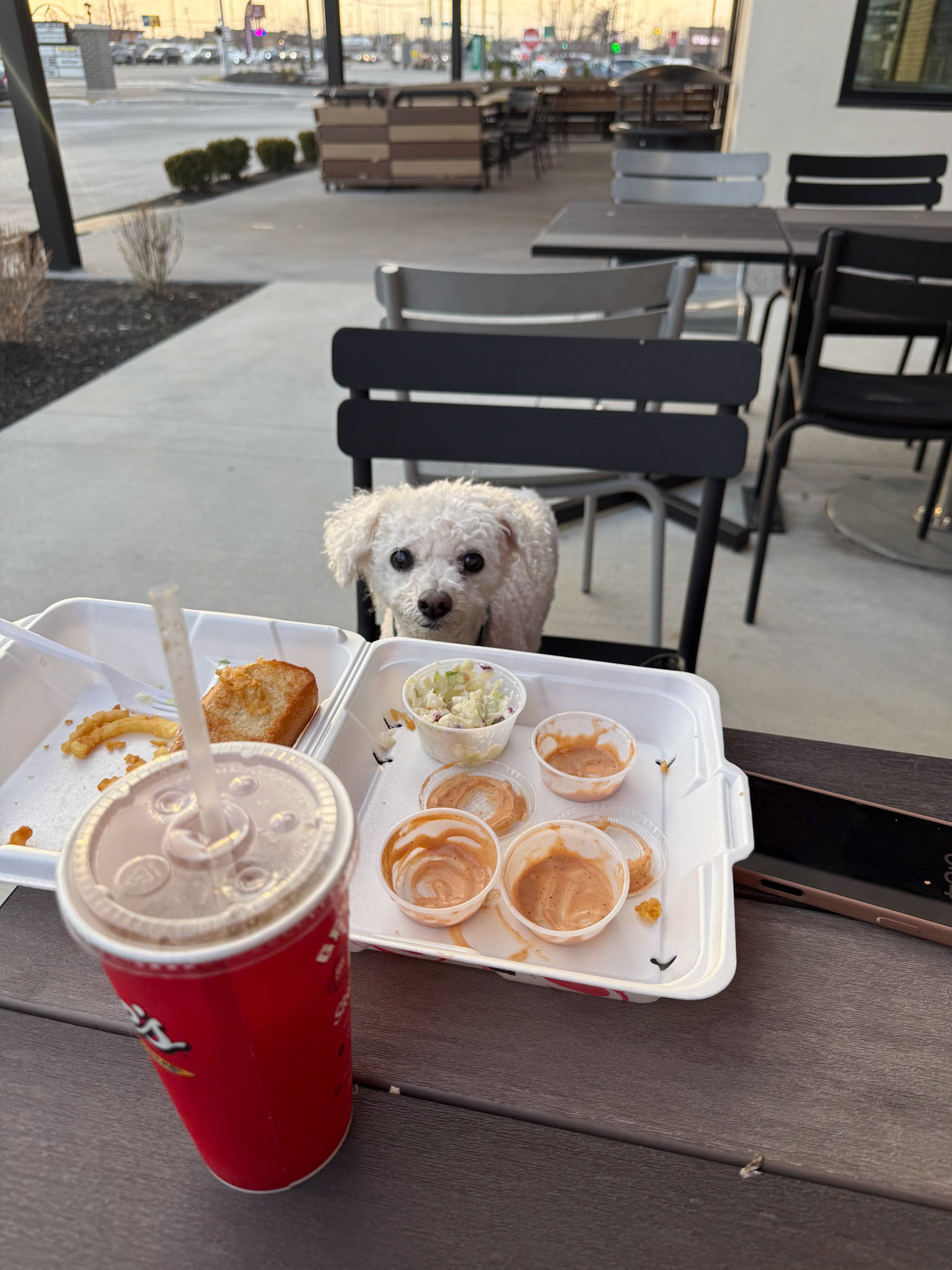 Buddy Eating at Raising Cane's