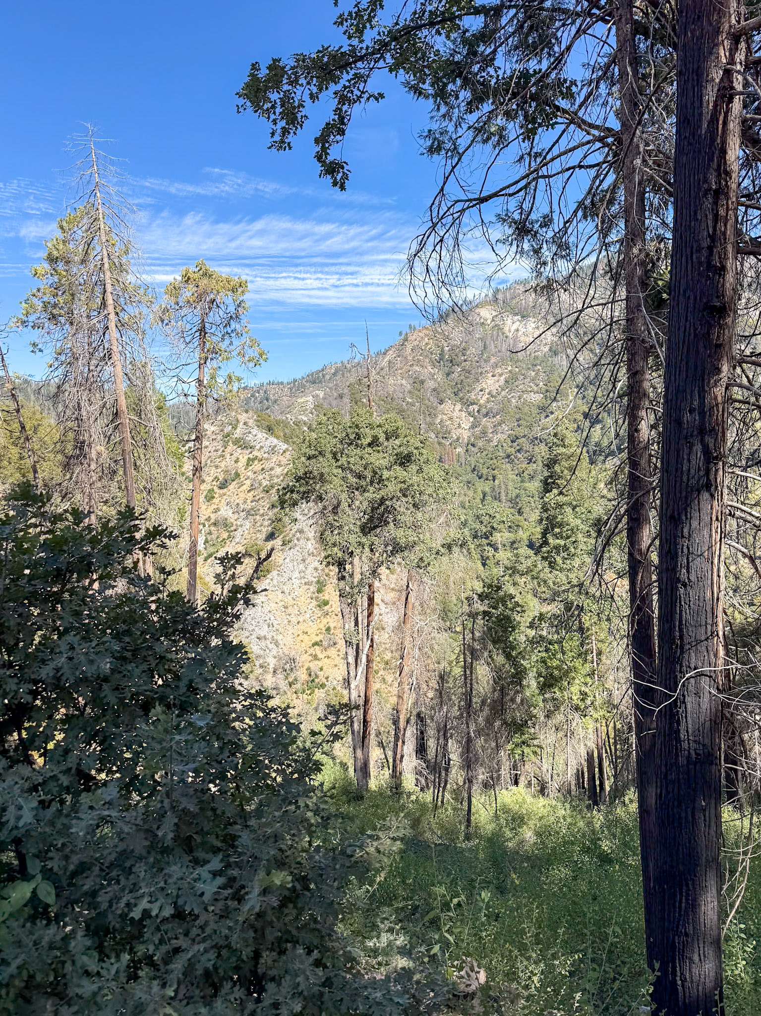 Sequoia National Park