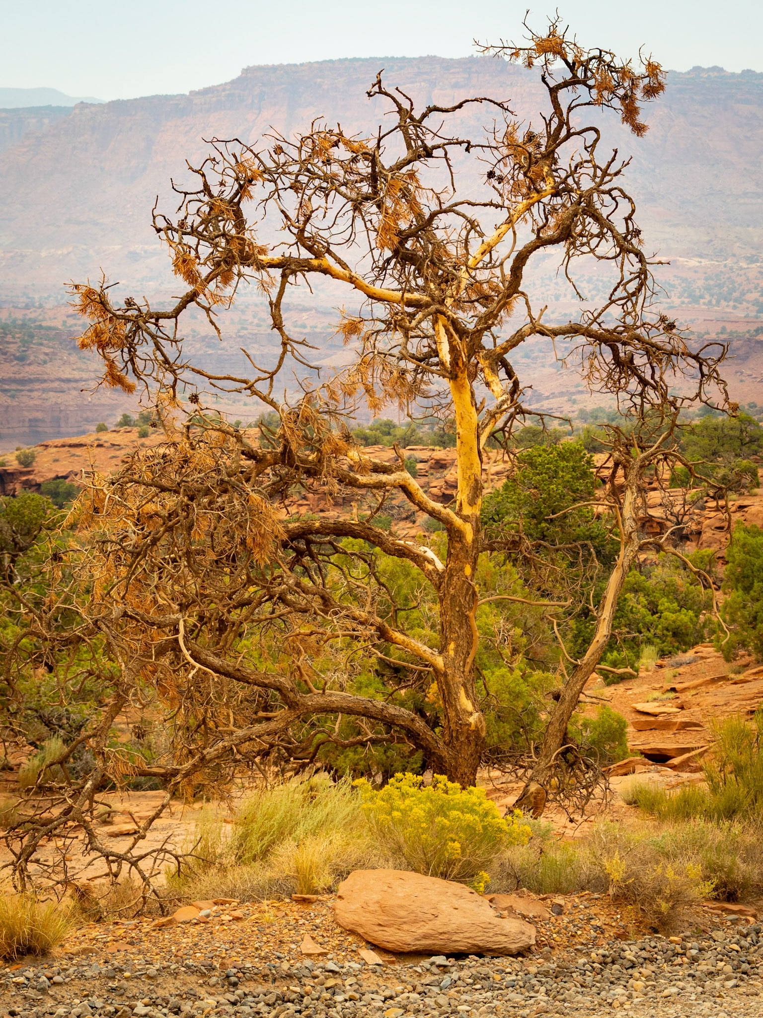 Capitol Reef National Park in Torrey, Utah