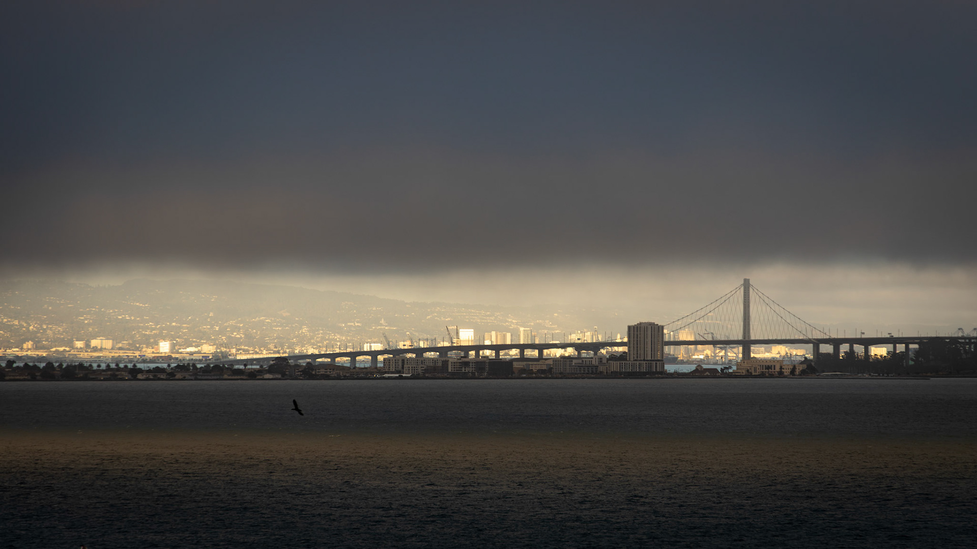 Bay Bridge in San Francisco