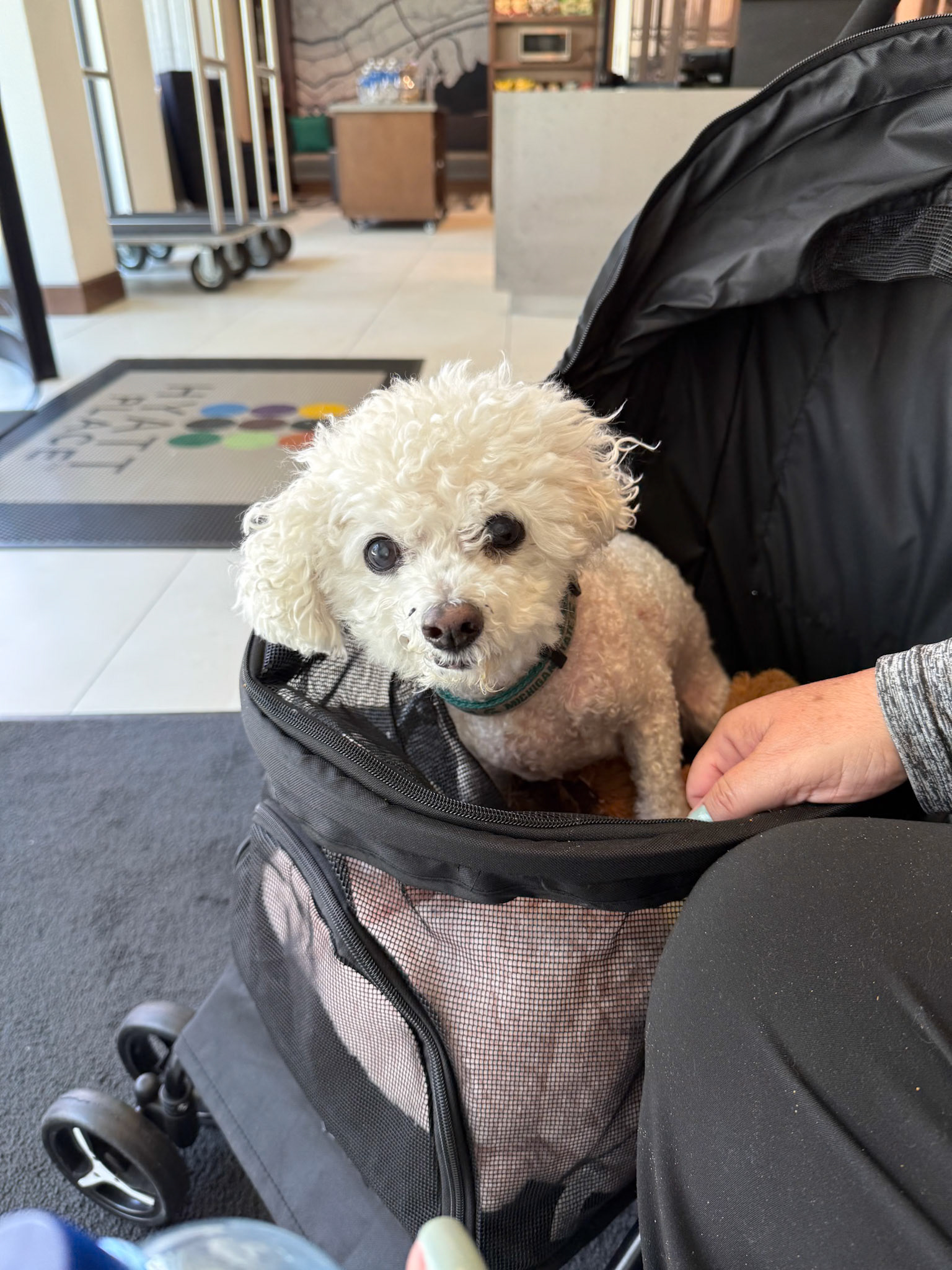 Chinatown in San Francisco