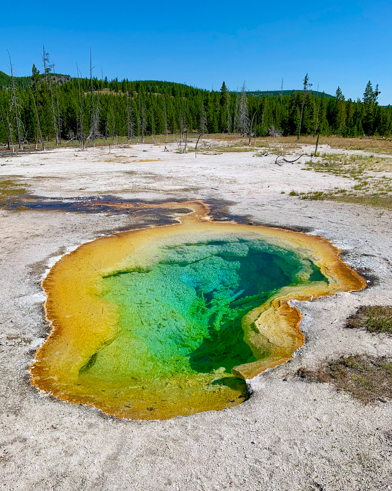 West Geyer at Yellowstone