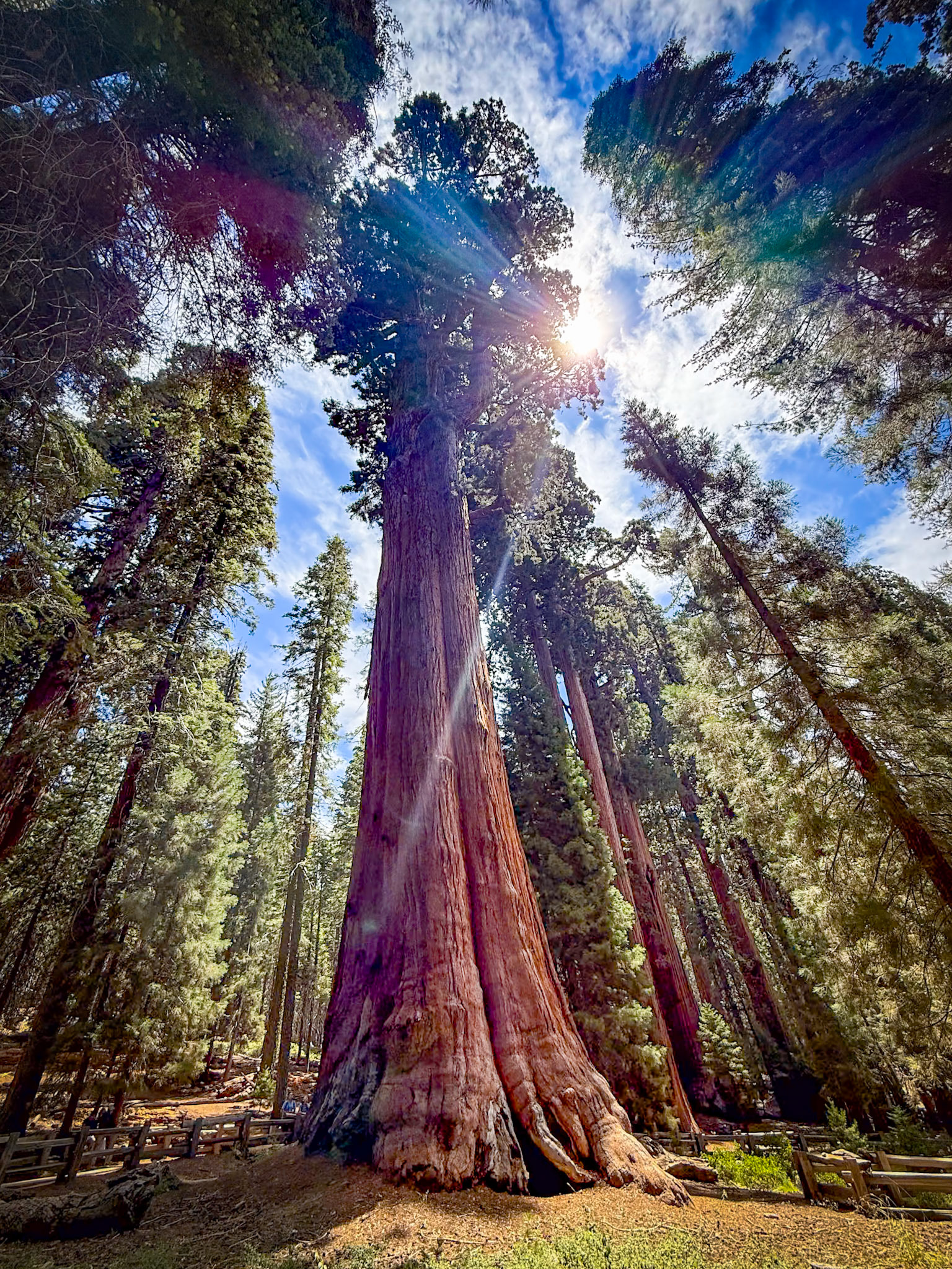 Sequoia National Park