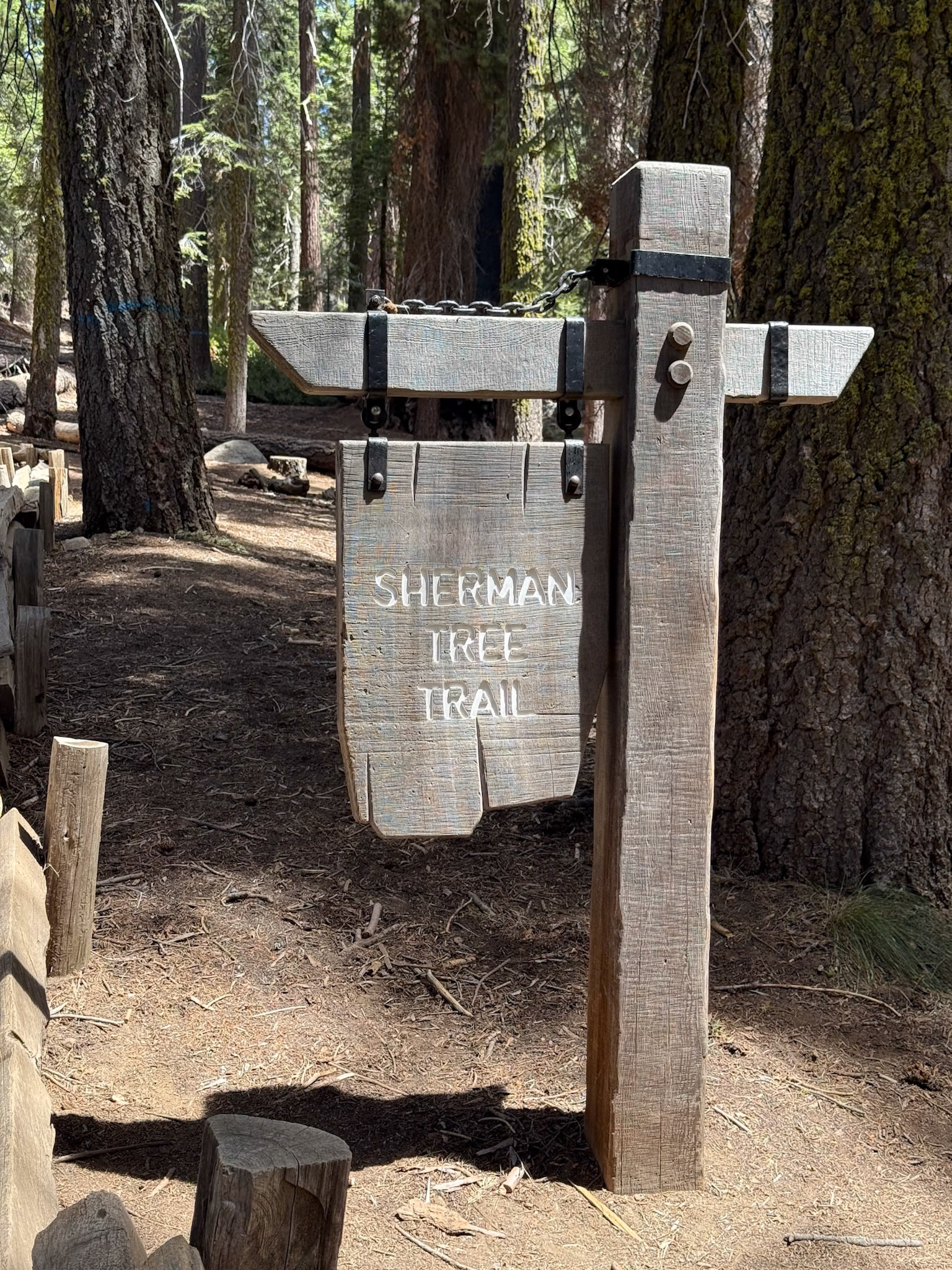 Sequoia National Park