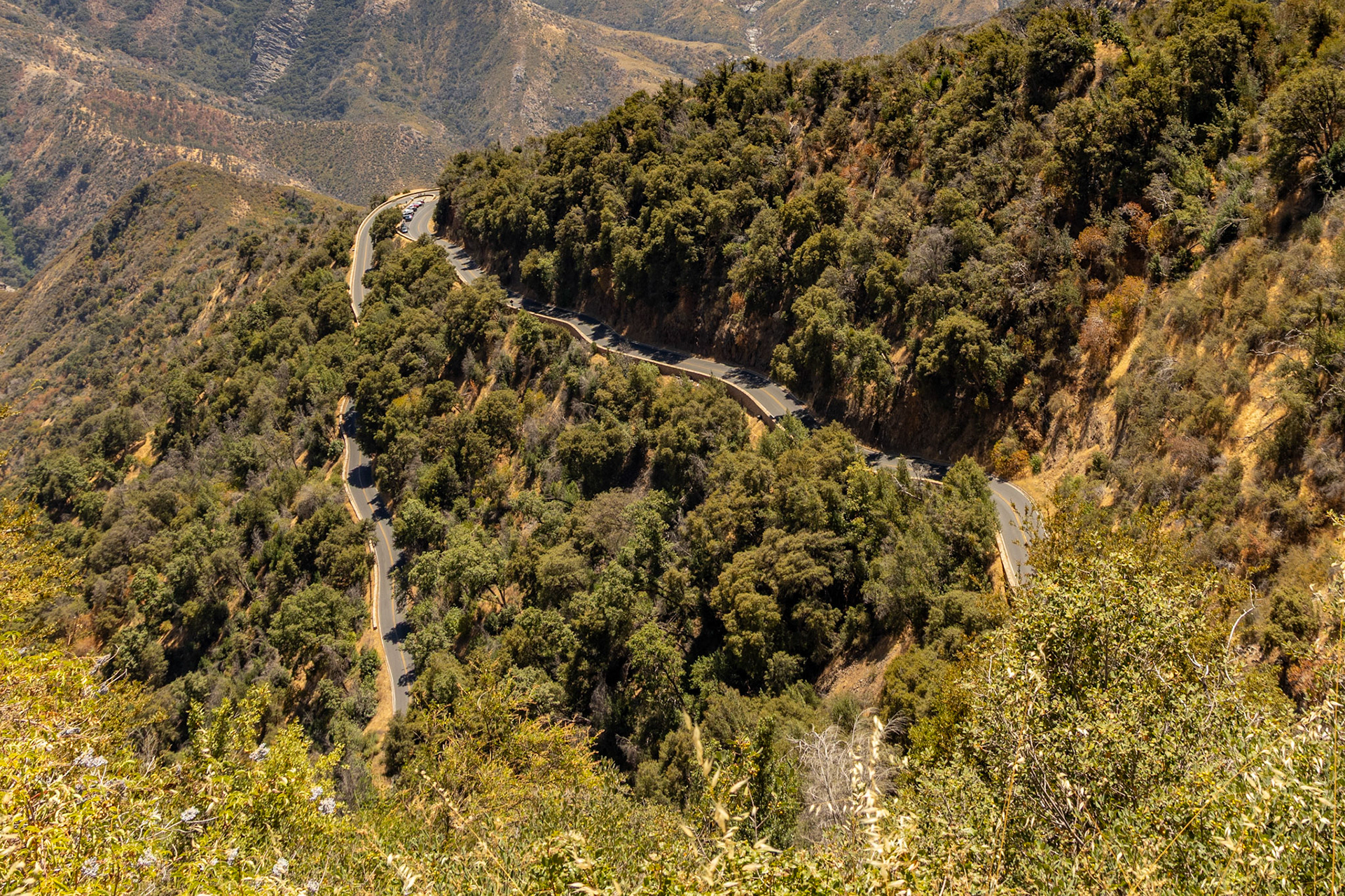 Sequoia National Park