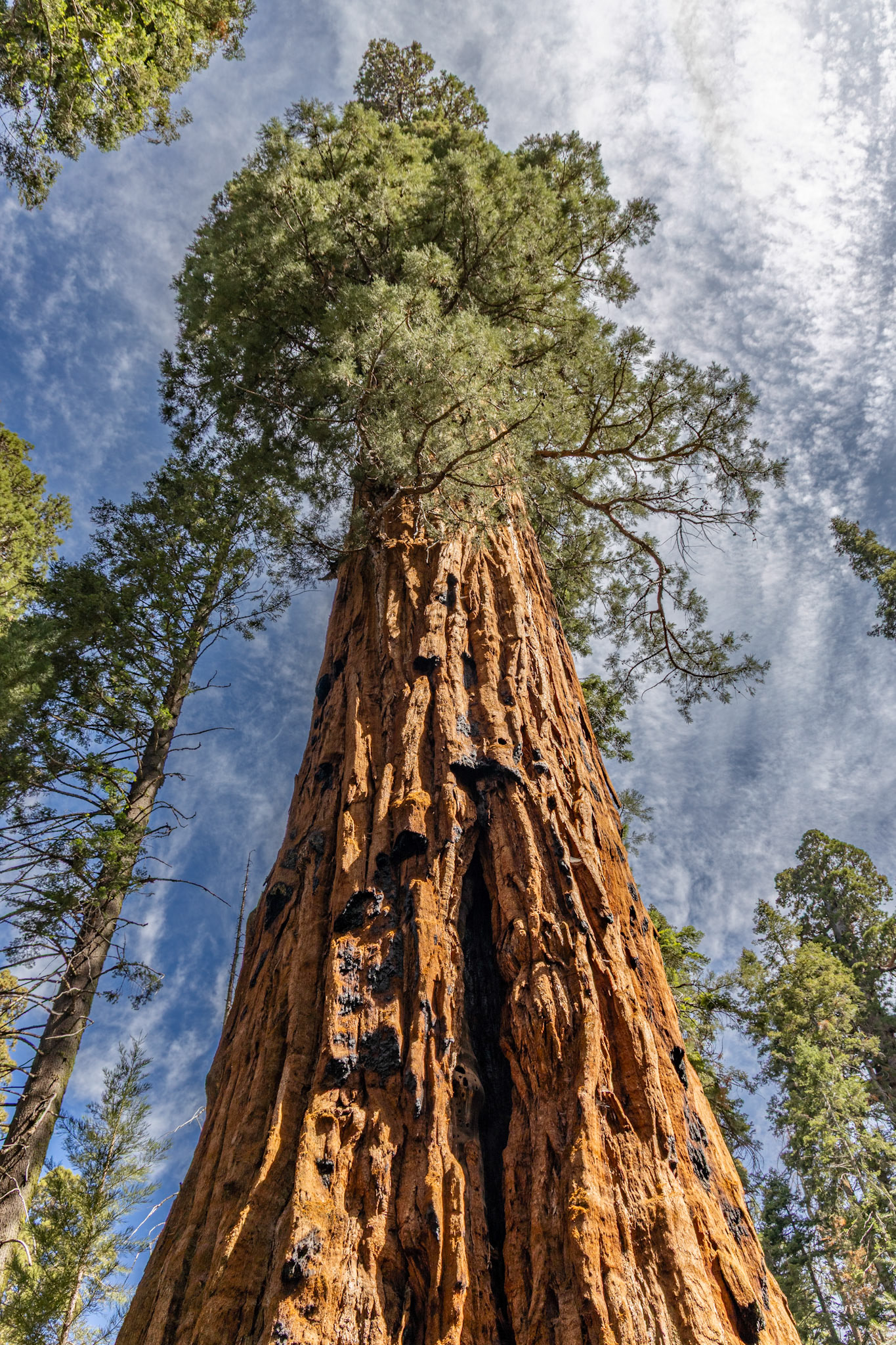 Sequoia National Park