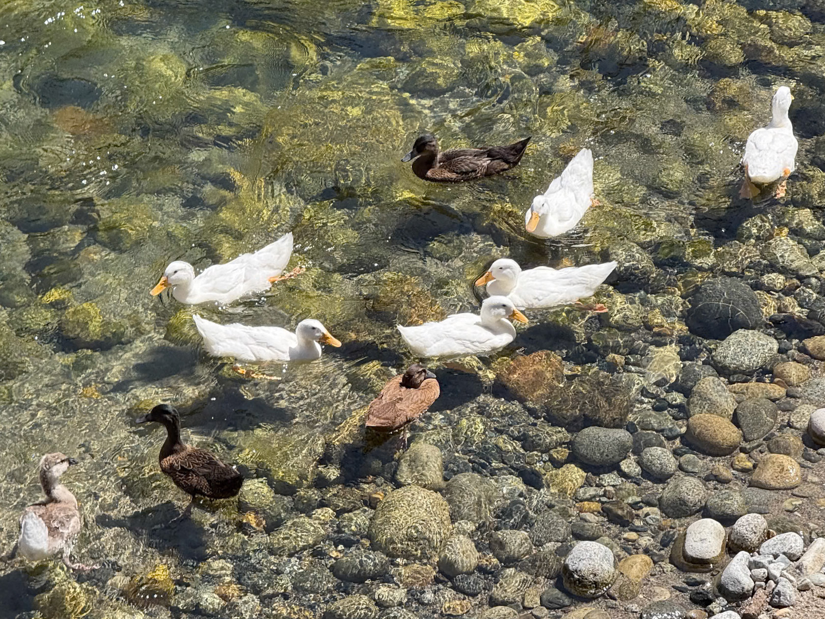 Sequoia National Park