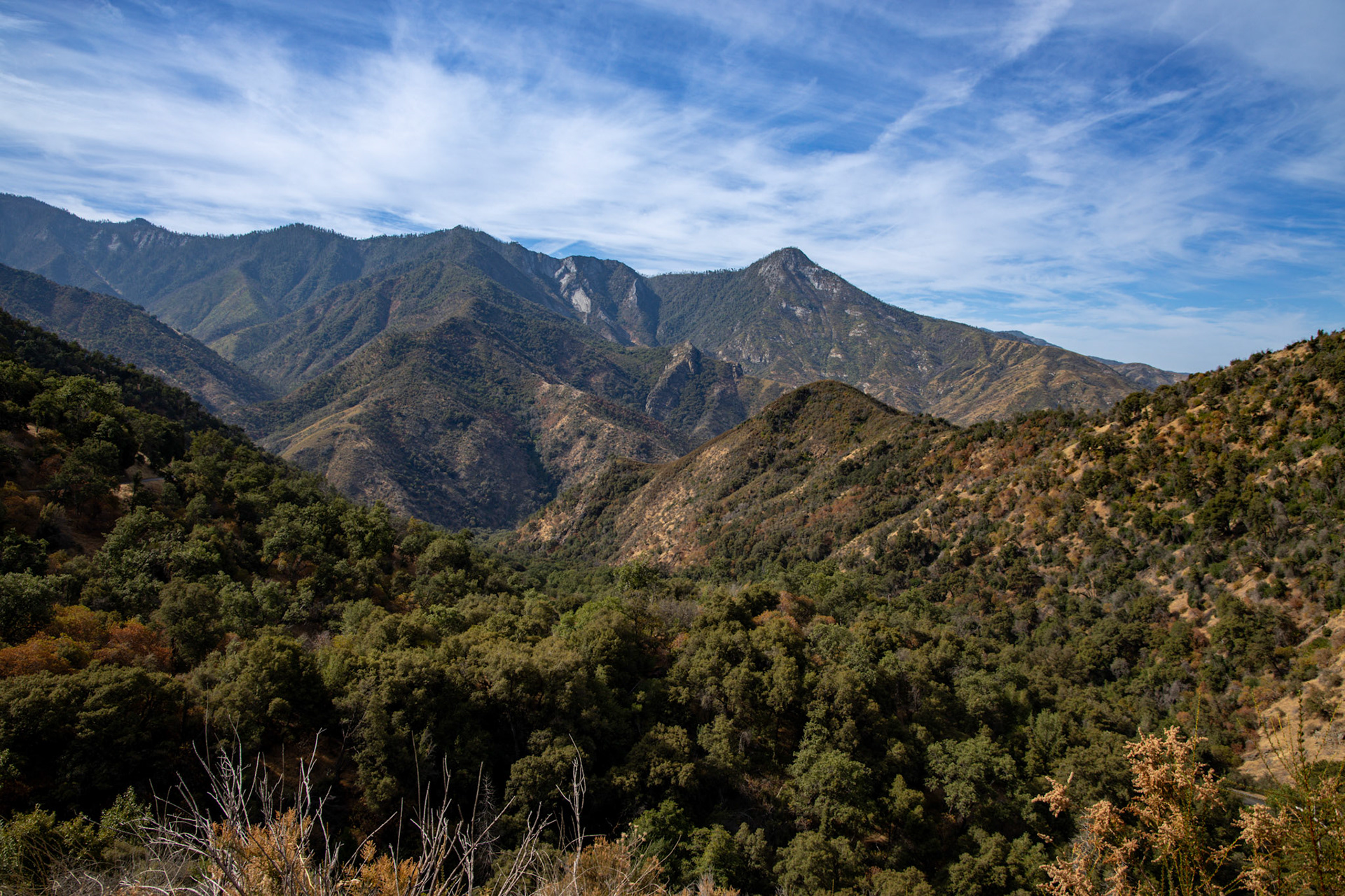 Sequoia National Park