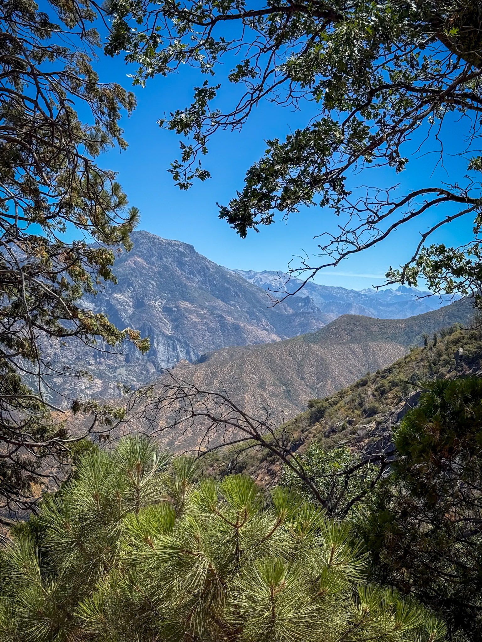 King's Canyon National Park