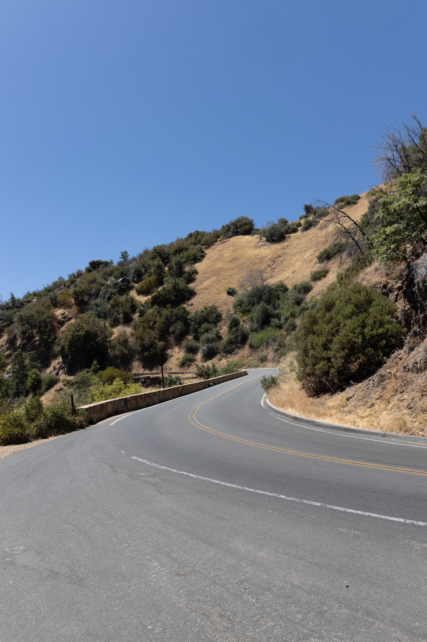 Sequoia National Park