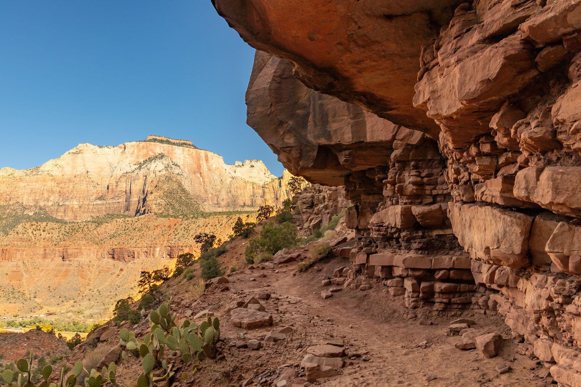 Zion National Park