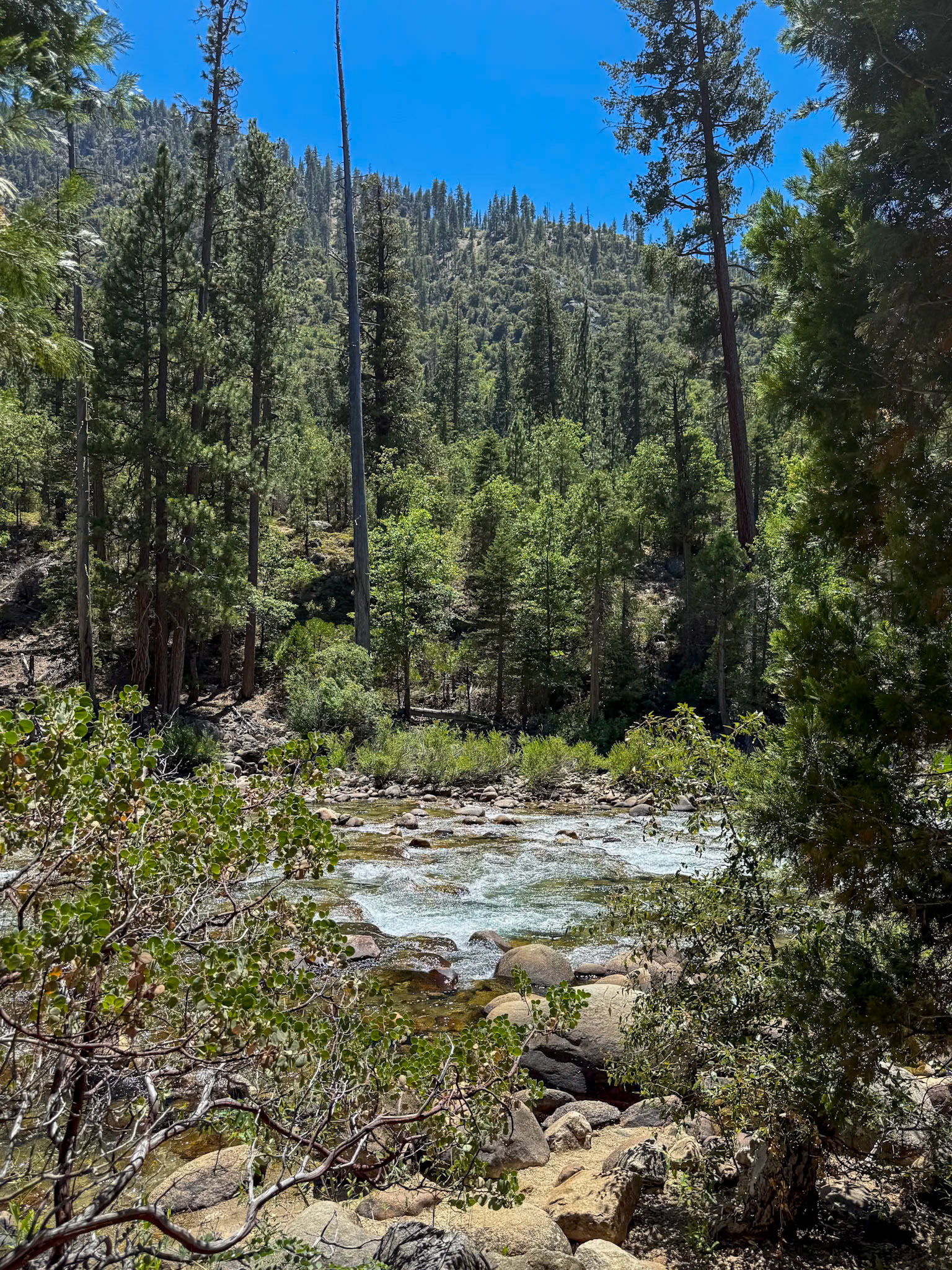 King's Canyon National Park