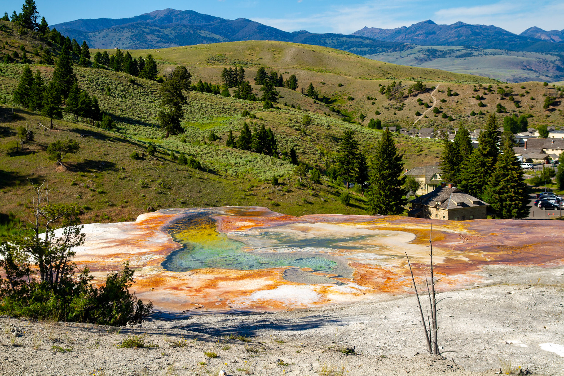 Mammoth Hot Springs at Yellowstone National Park