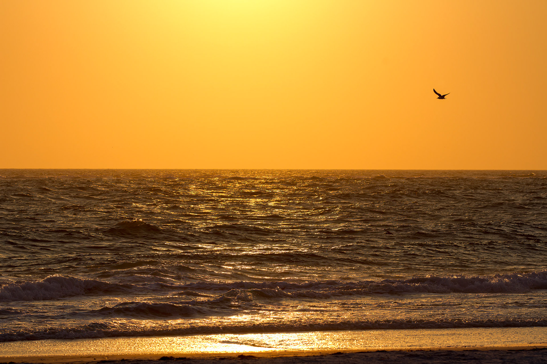 Sunset on Siesta Key