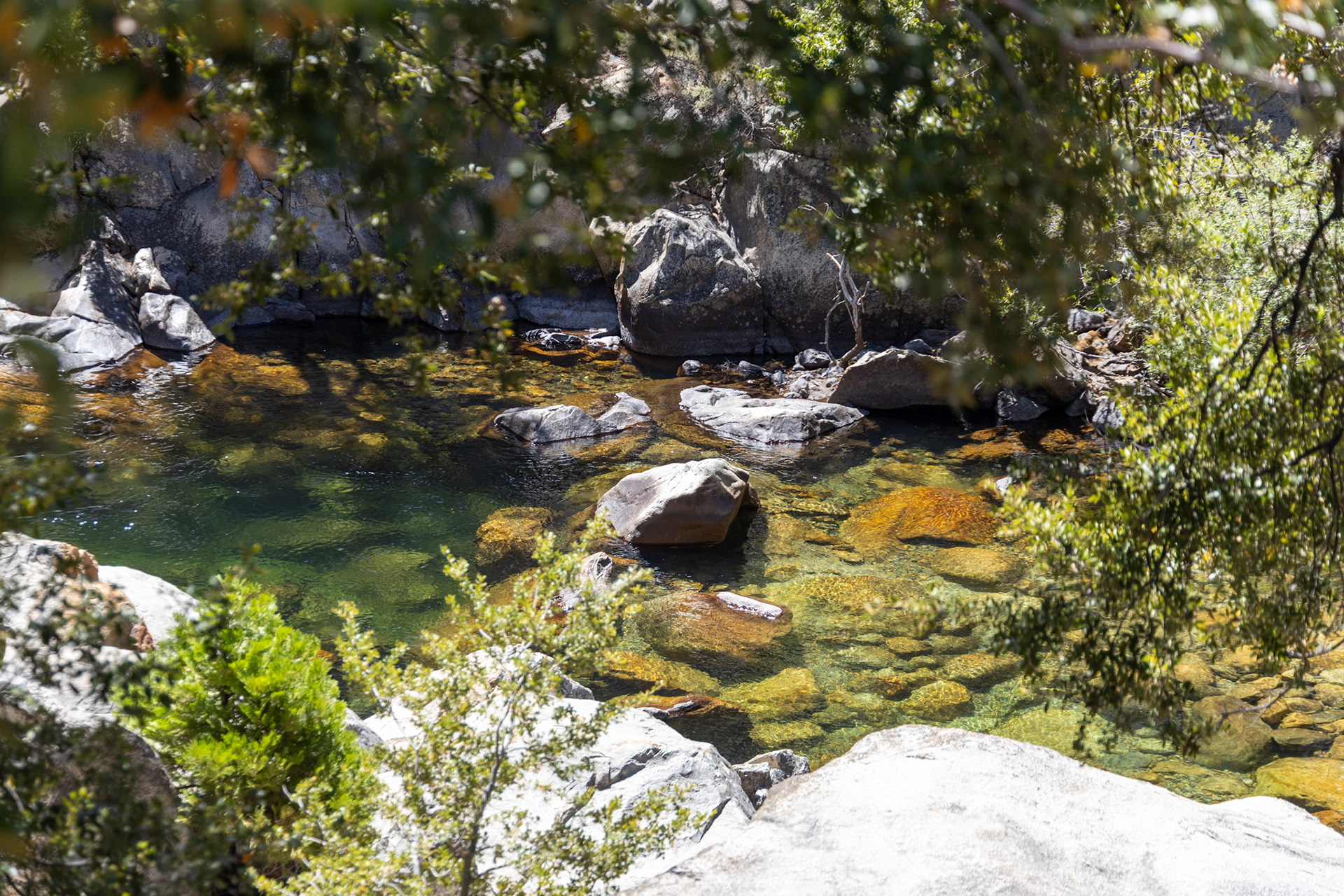 King's Canyon National Park