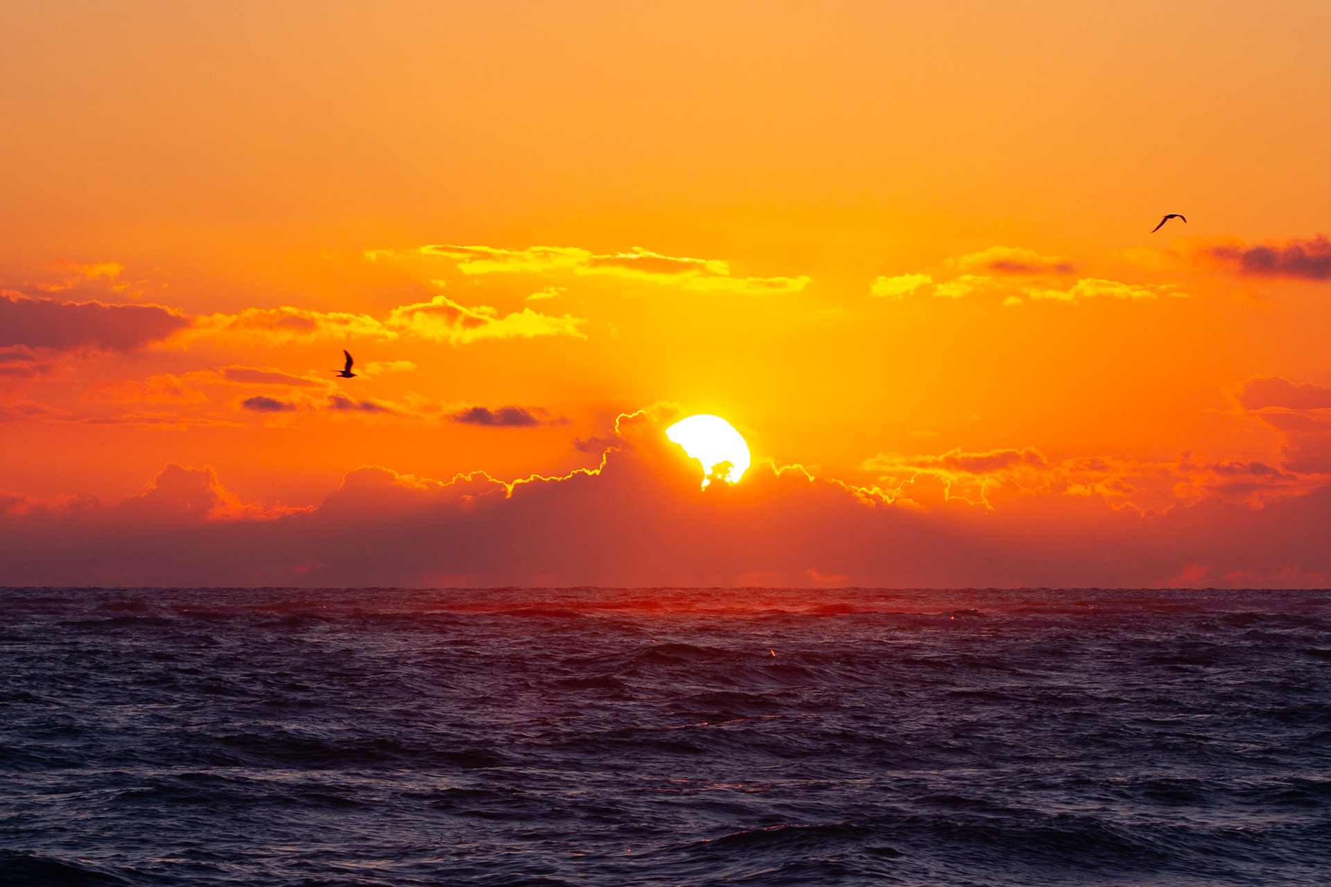 Sunset on Siesta Key