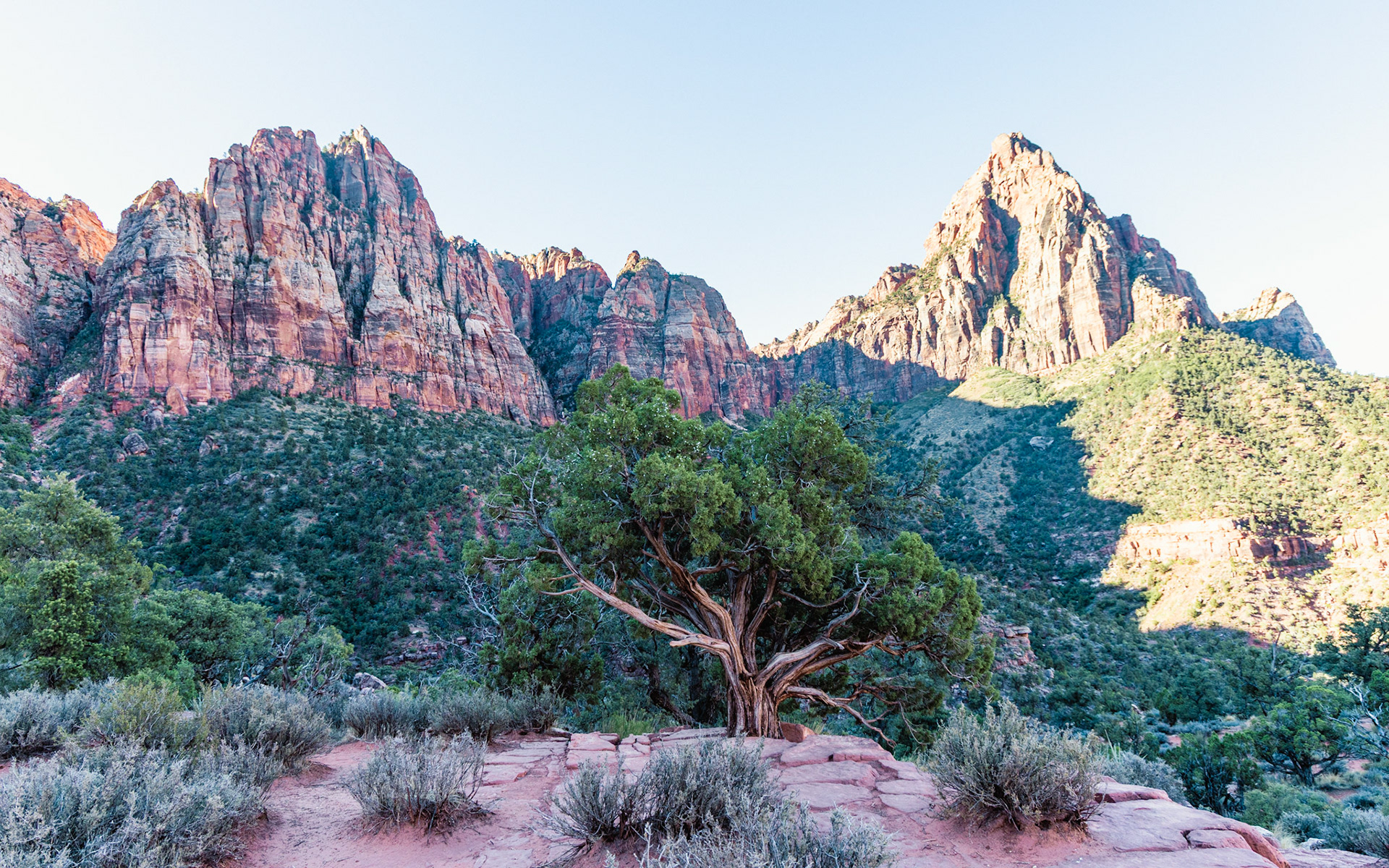 Zion National Park