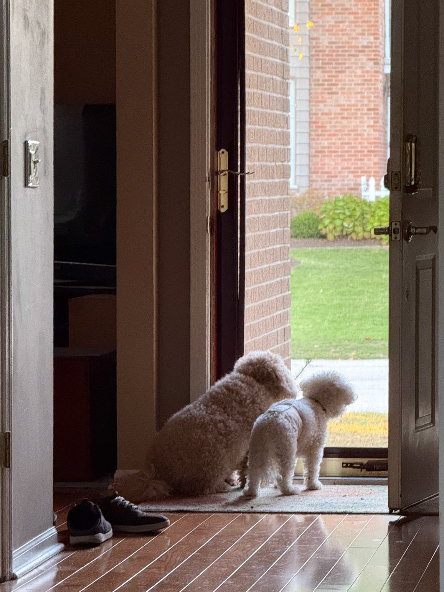 Buddy and Henry