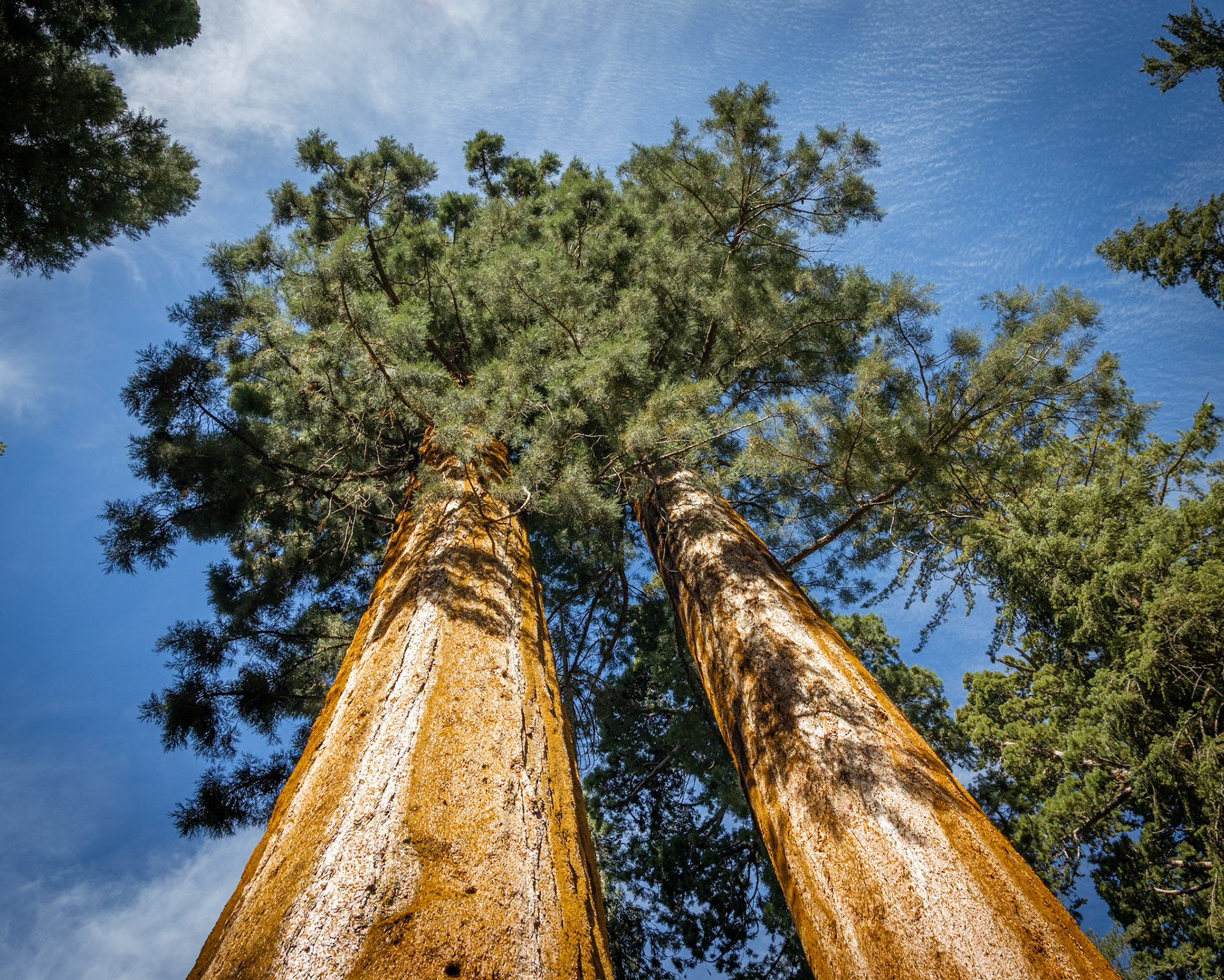 Sequoia National Park