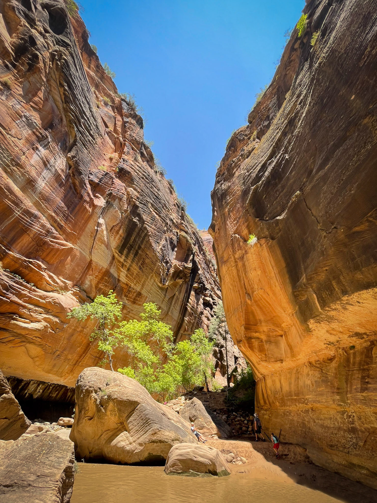The Narrows at Zion National Park
