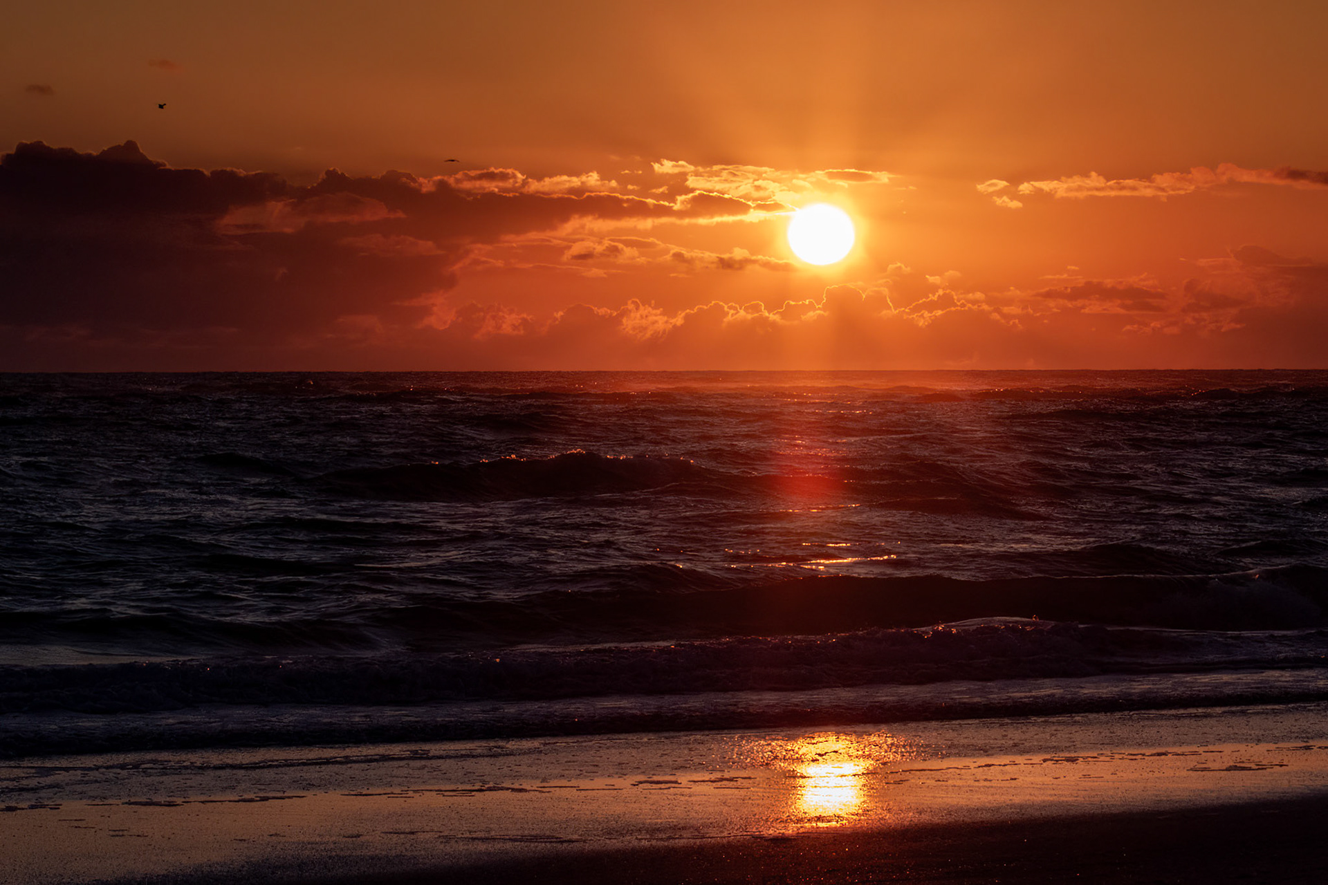 Sunset on Siesta Key