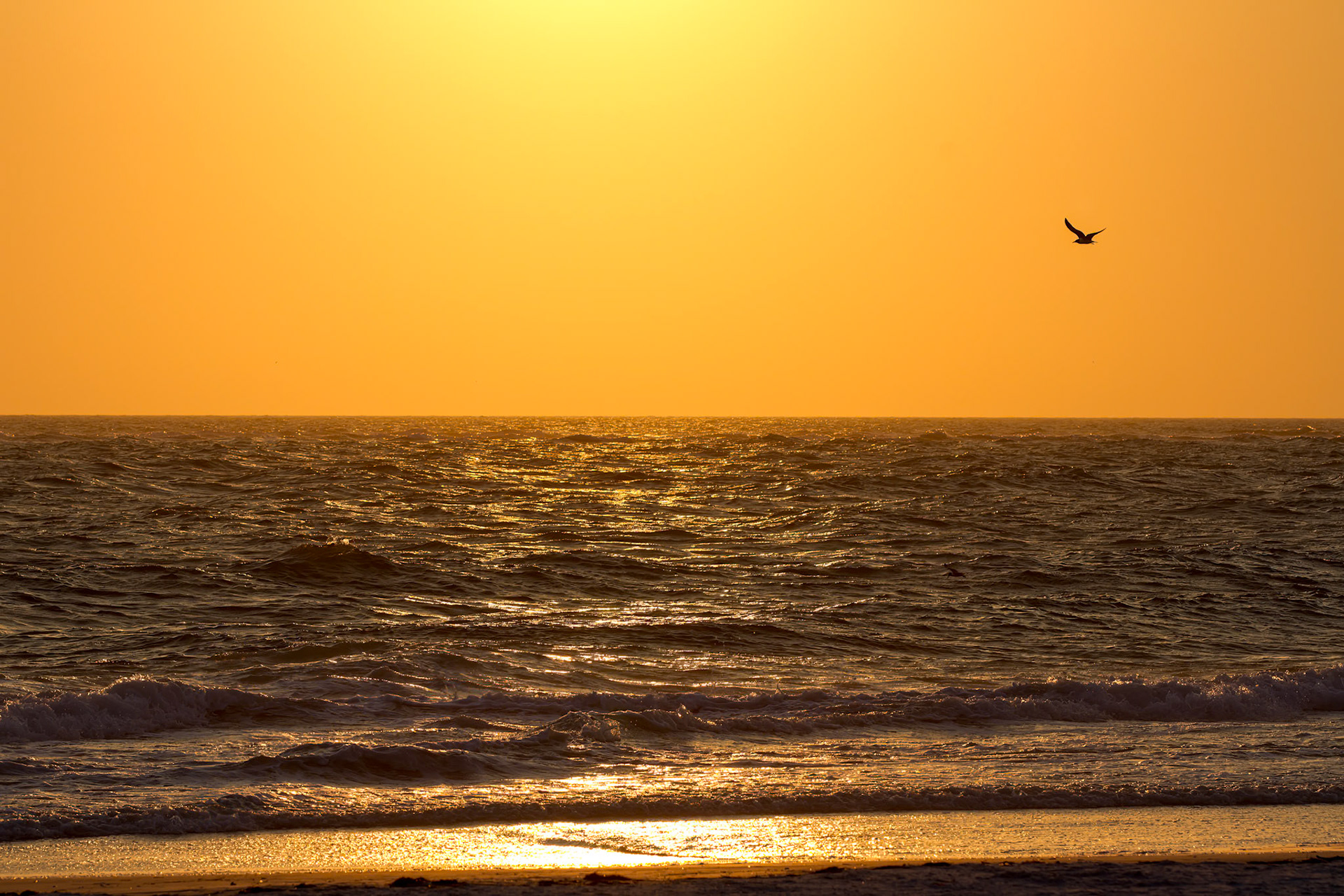 Sunset on Siesta Key