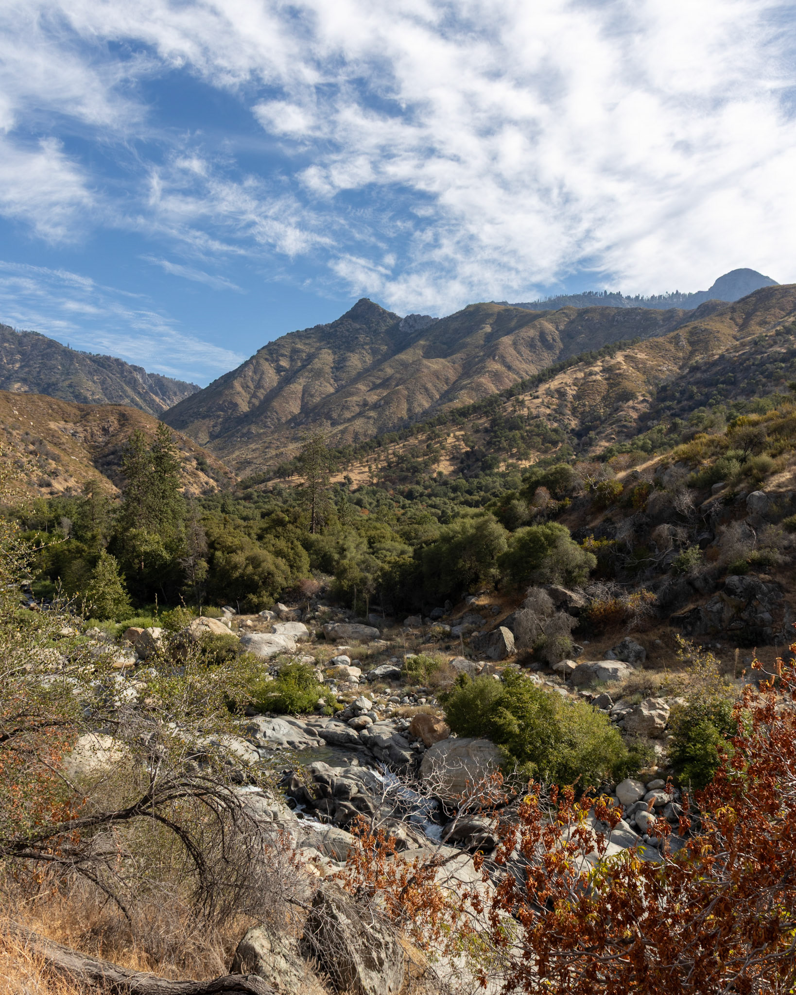 Sequoia National Park