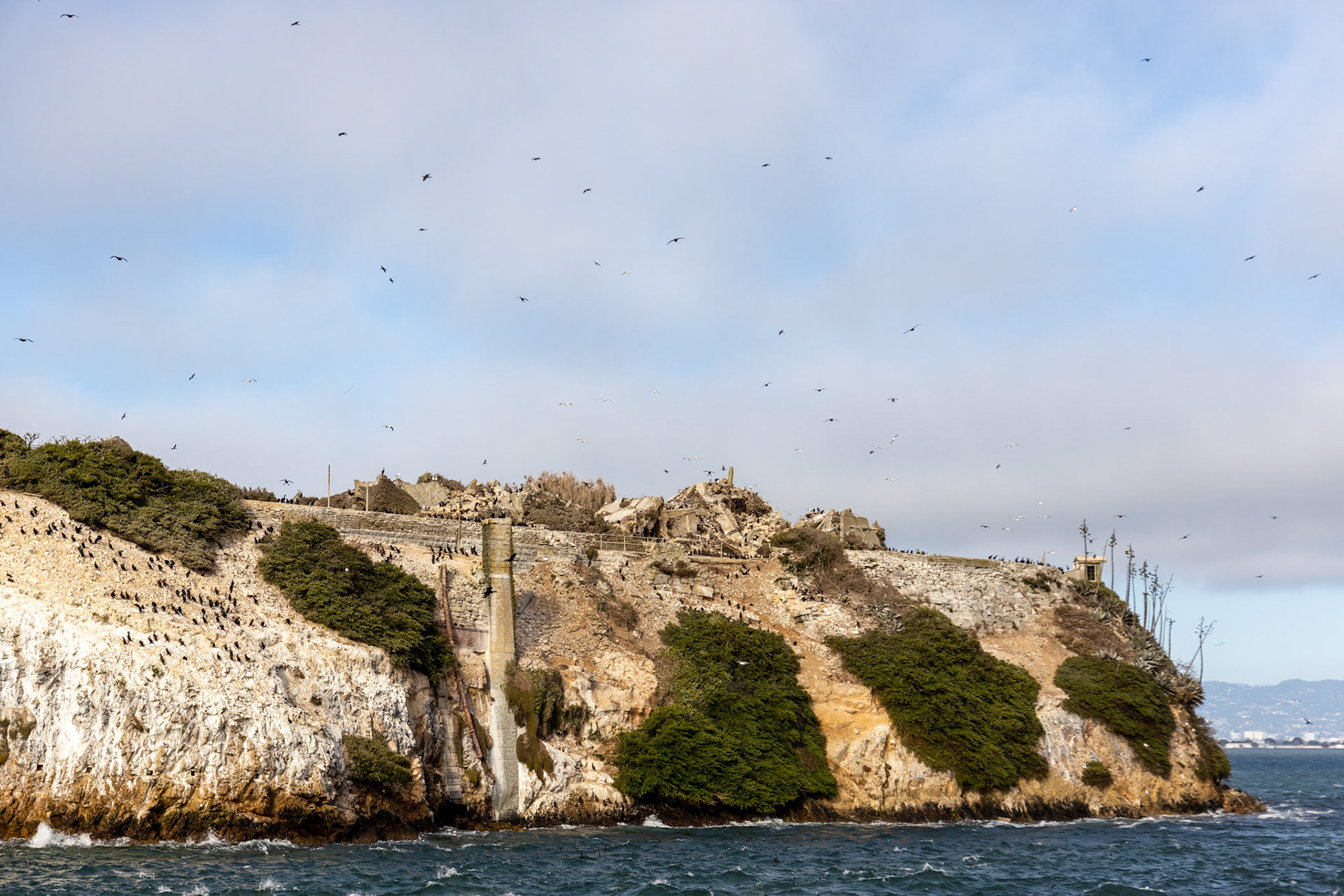 Alcatraz Island in San Francisco
